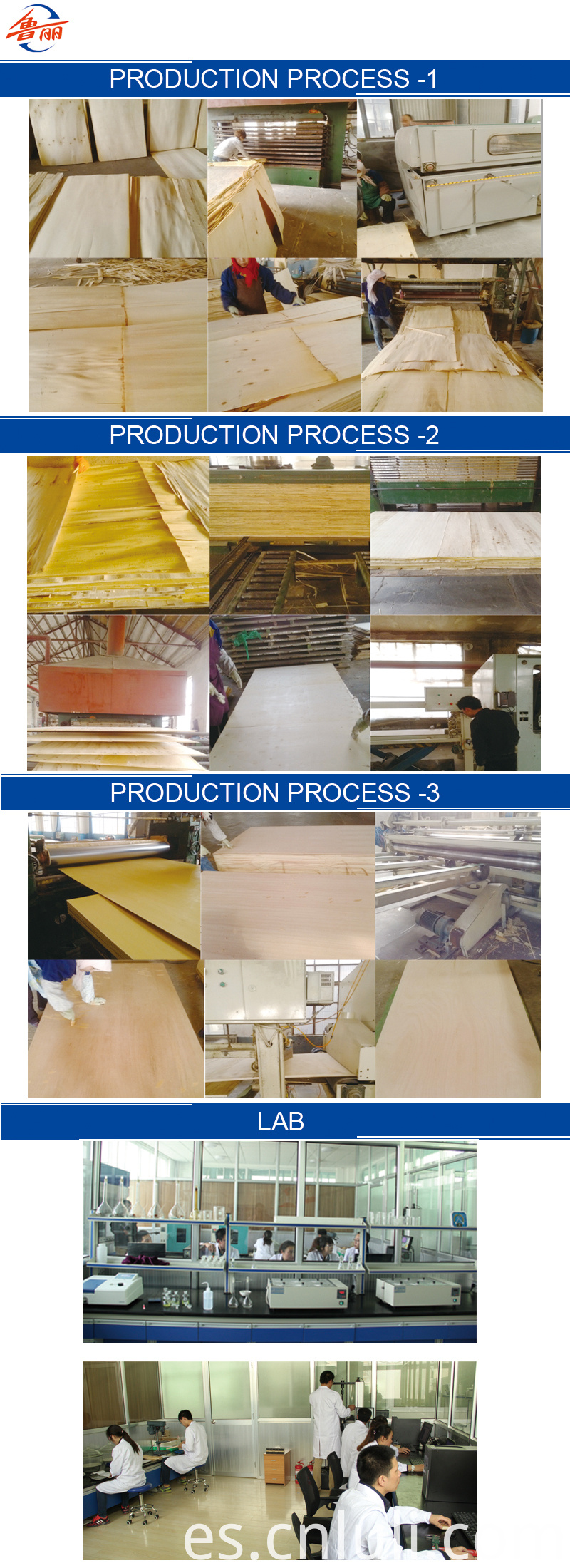Madera contrachapada comercial y laboratorio Commercial Plywood And Lab